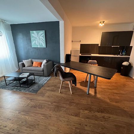 Mon Palmier Grand Appartement Parking Un-Sejour-A-Part Мец Экстерьер фото