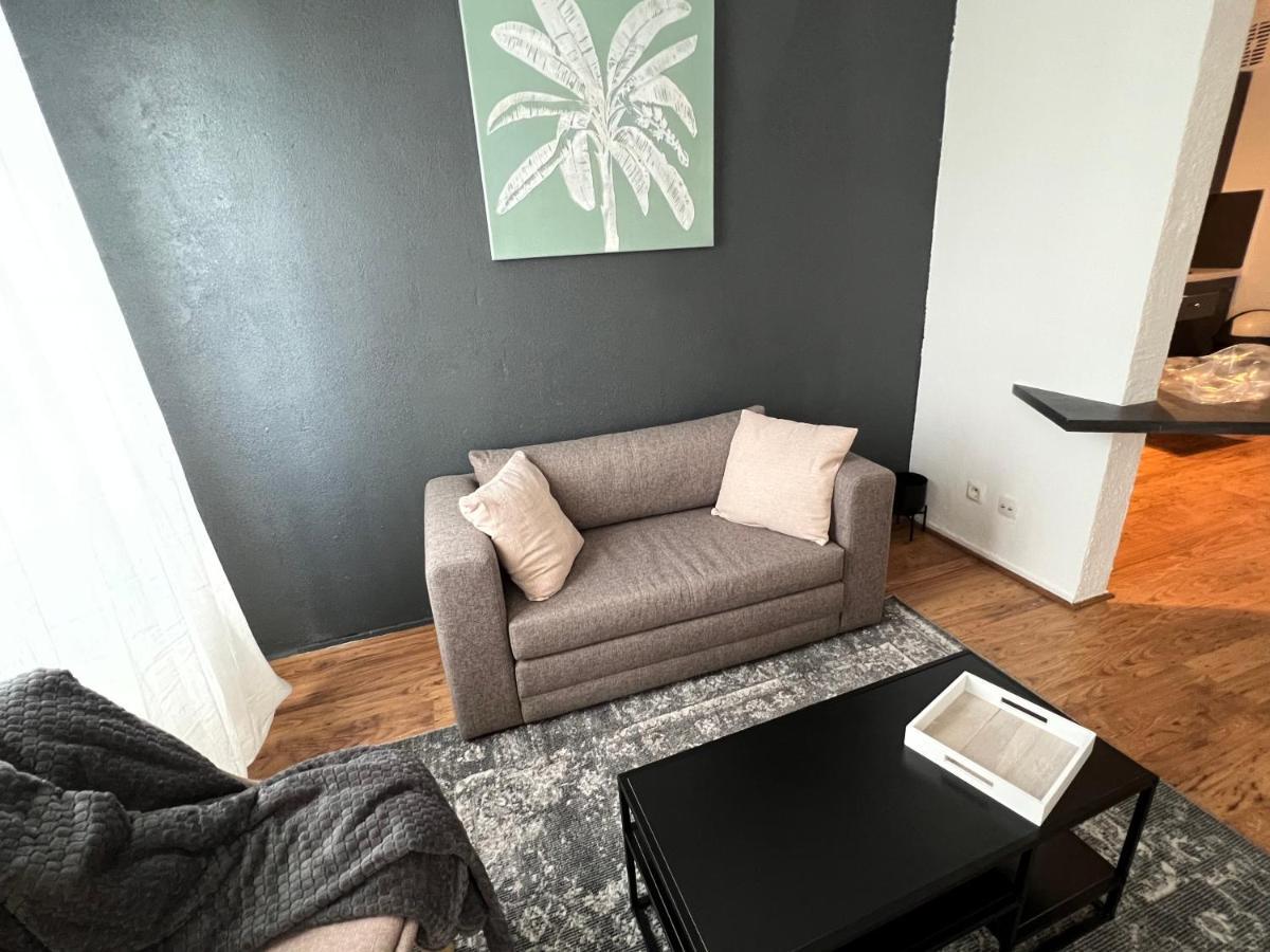 Mon Palmier Grand Appartement Parking Un-Sejour-A-Part Мец Экстерьер фото
