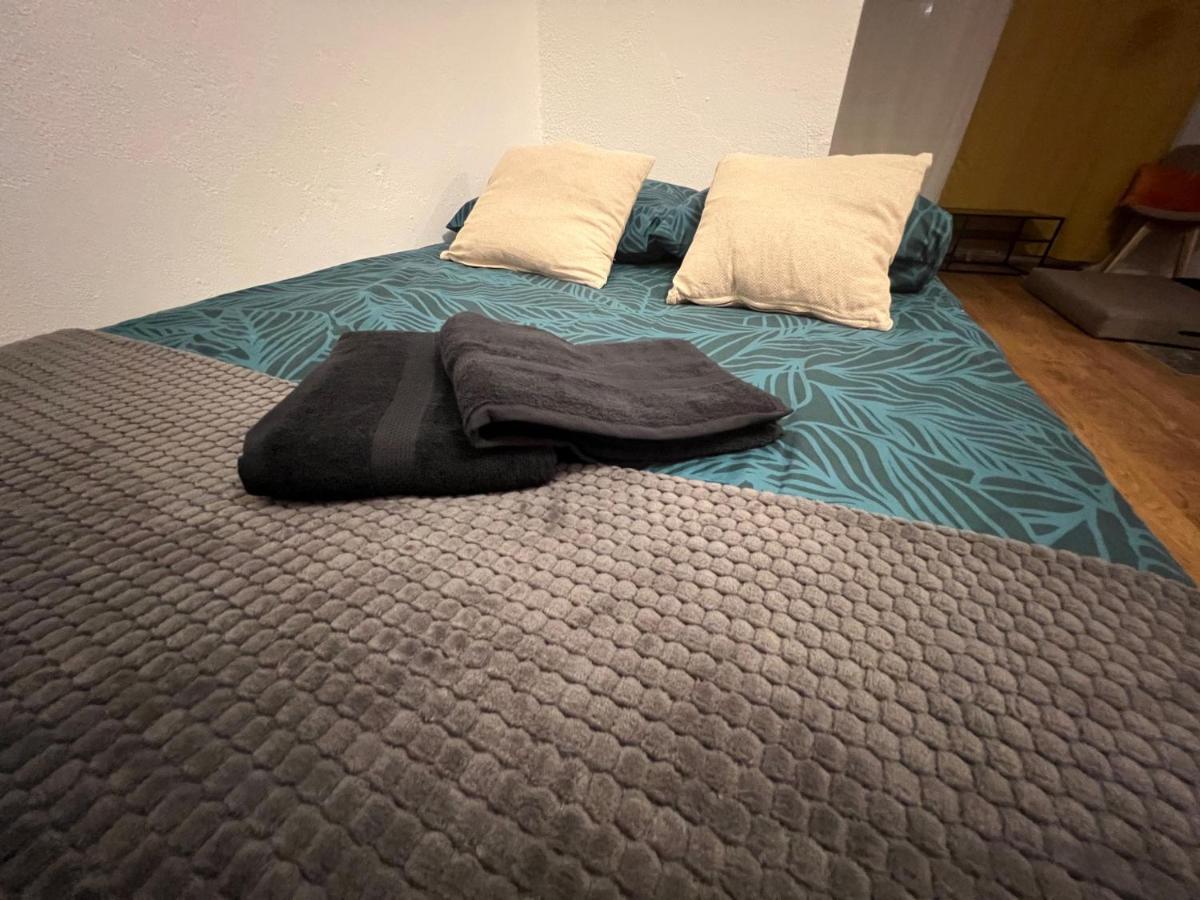 Mon Palmier Grand Appartement Parking Un-Sejour-A-Part Мец Экстерьер фото