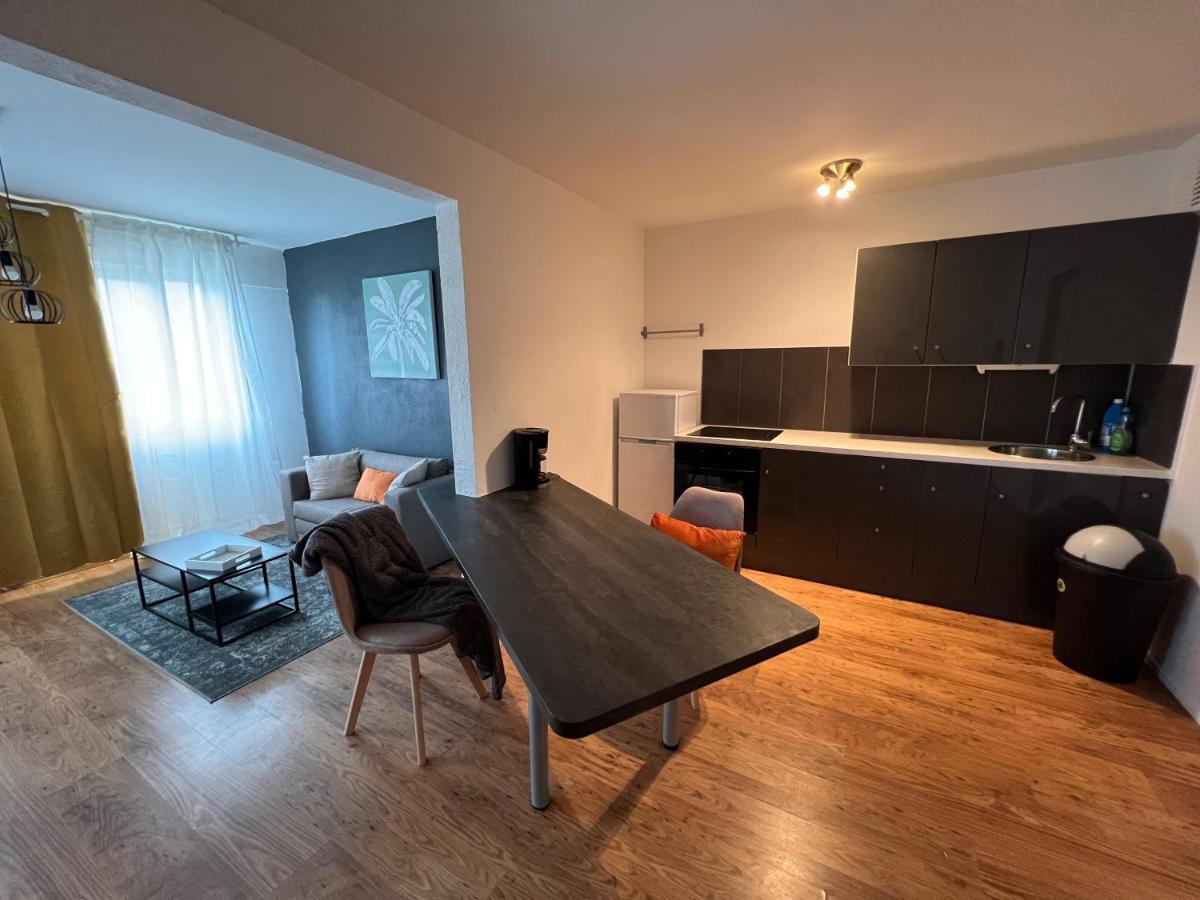 Mon Palmier Grand Appartement Parking Un-Sejour-A-Part Мец Экстерьер фото