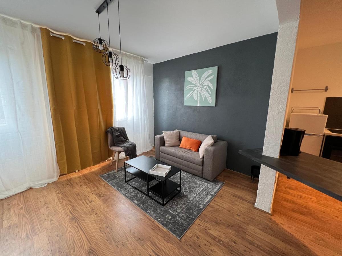 Mon Palmier Grand Appartement Parking Un-Sejour-A-Part Мец Экстерьер фото